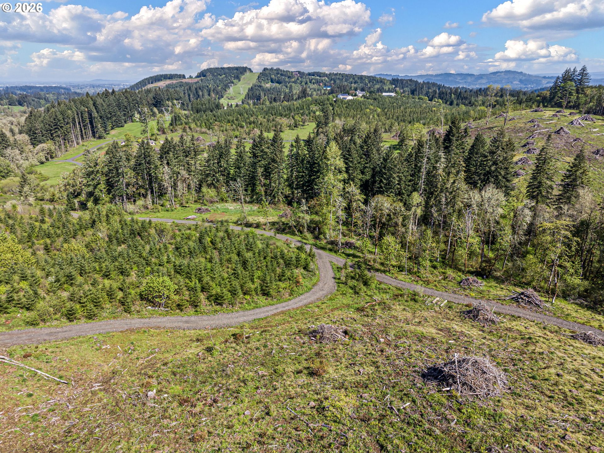 29875 Sodaville Mountain Home Road Lebanon, OR 97355 - Photo 47 of 48