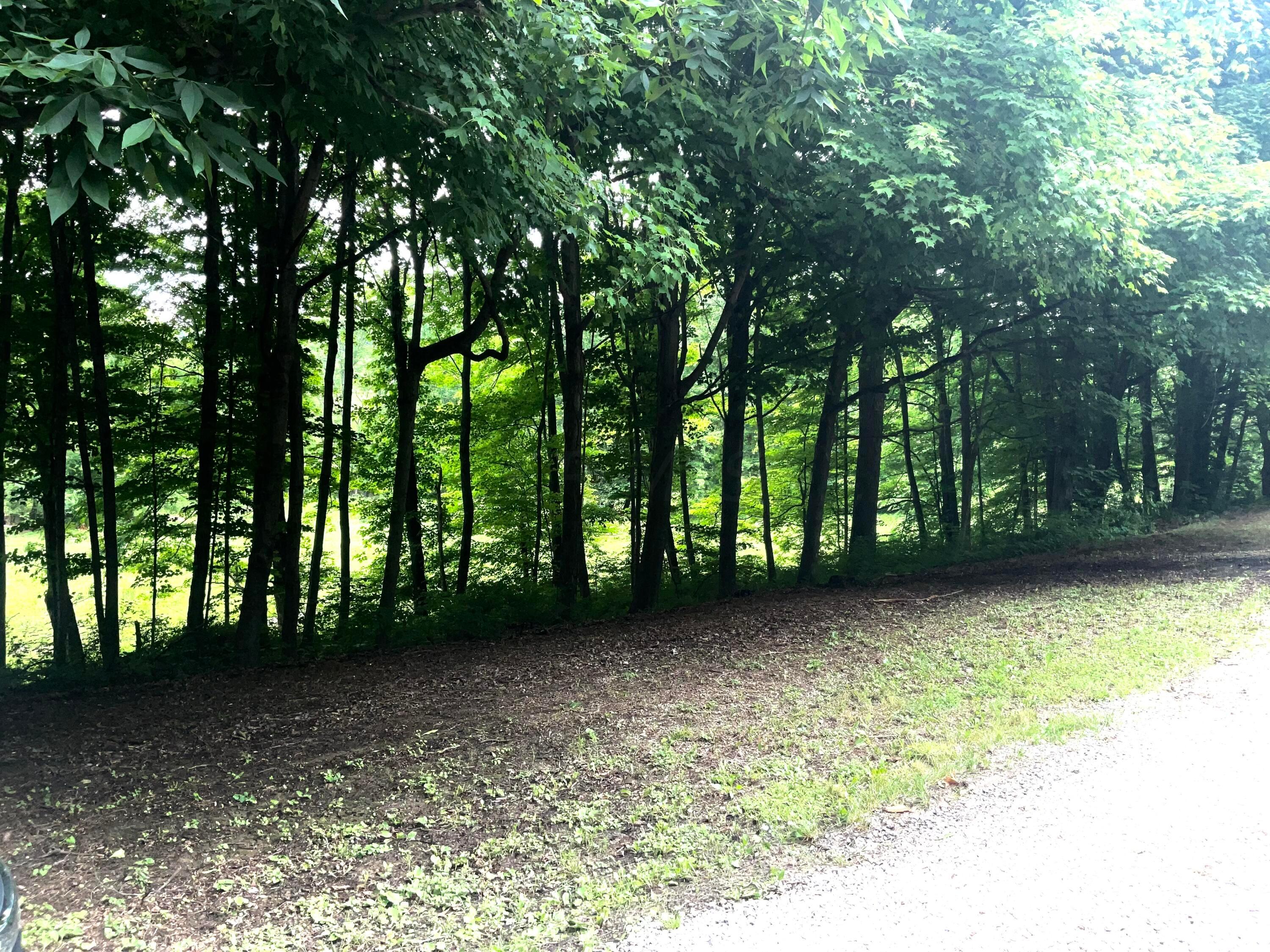 3075 County Road 57 Road East Junction City, OH 43748 - Photo 27 of 33 18D19D74-97E4-48B1-8E04-F6E34B3F721F