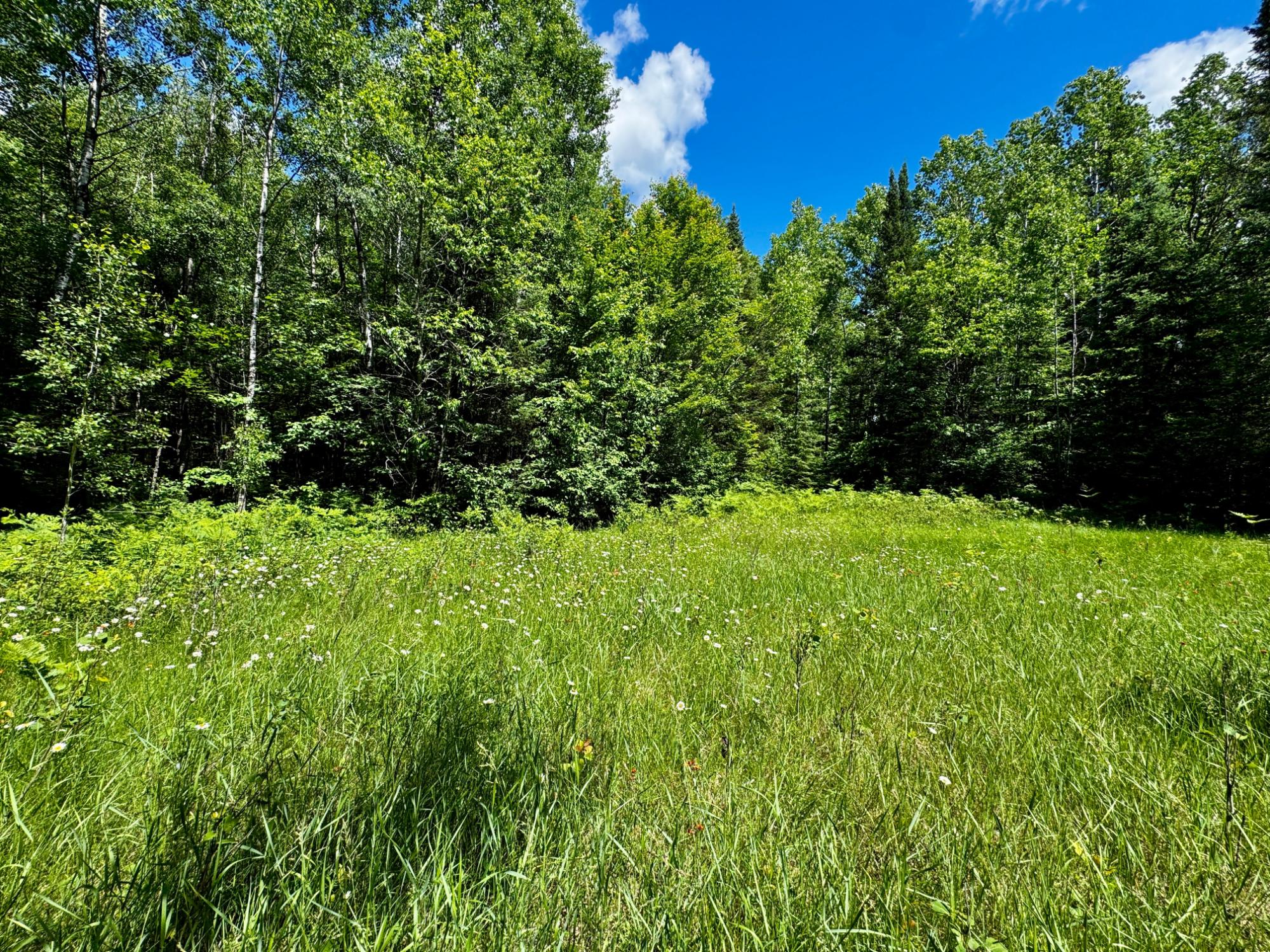 Nine Camp 9 Road Minocqua, WI 54548 - Photo 8 of 37 Gallery Image 8