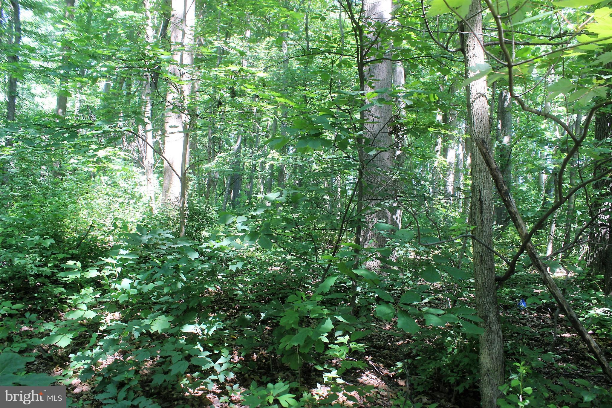 191 Little Britain Road Nottingham, PA 19362 - Photo 4 of 7