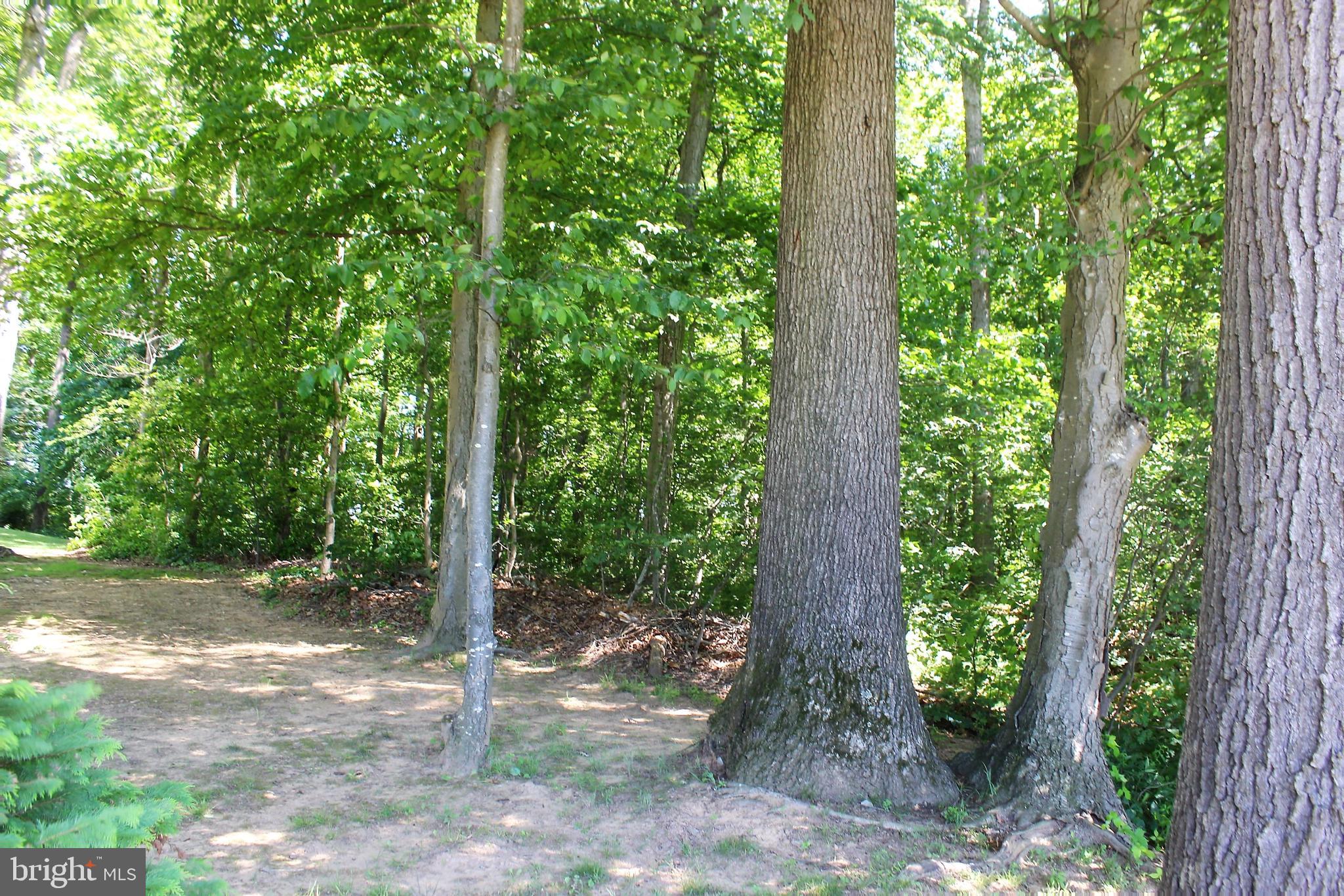 191 Little Britain Road Nottingham, PA 19362 - Photo 5 of 7 Side Edge of Lot