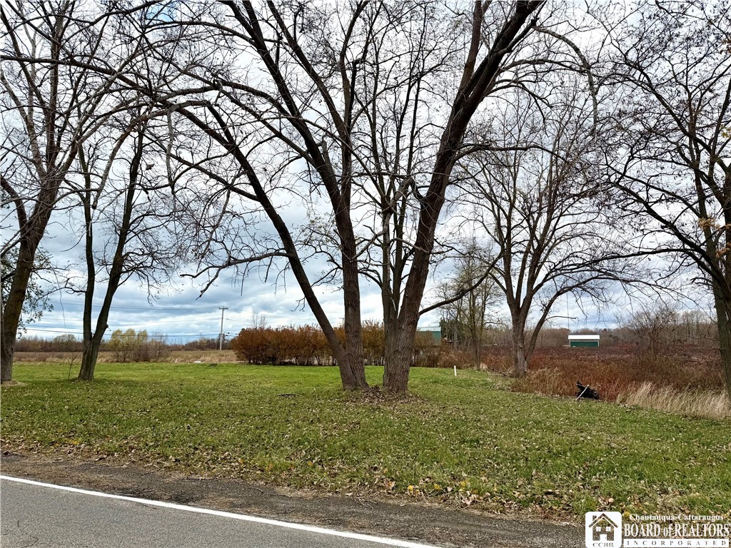 4573-4599 Willow Road Dunkirk, NY 14048 - Photo 20 of 23