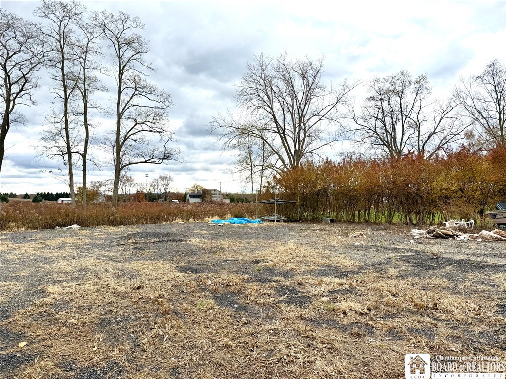 4573-4599 Willow Road Dunkirk, NY 14048 - Photo 3 of 23