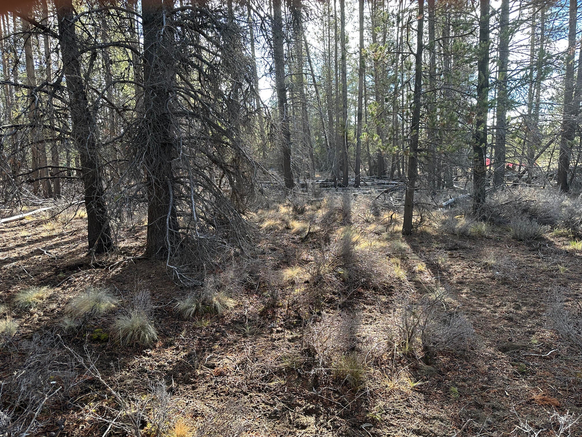 Split Rail Road, Unit 6100 La Pine, OR 97739 - Photo 8 of 28 IMG_0410