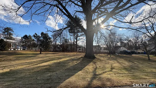 a view of park with large trees