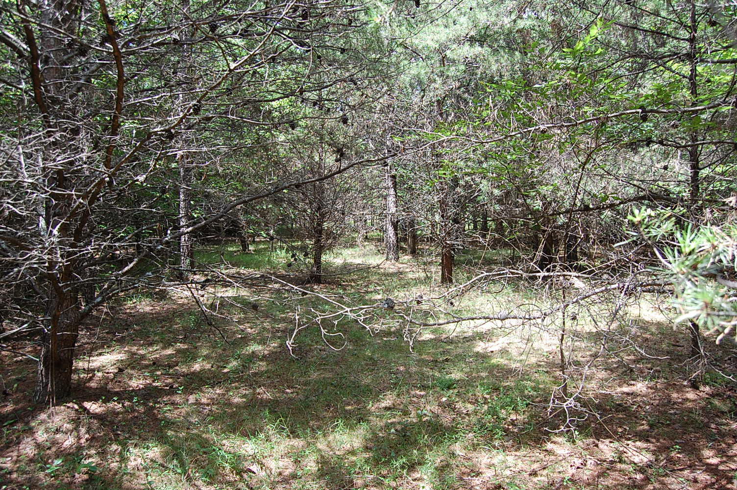 36 Stone Creek Trail Dunlap, TN 37327 - Photo 23 of 23 DSC_0023