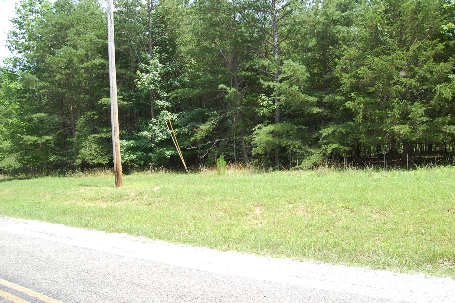 36 Stone Creek Trail Dunlap, TN 37327 - Photo 3 of 23 DSC_0002