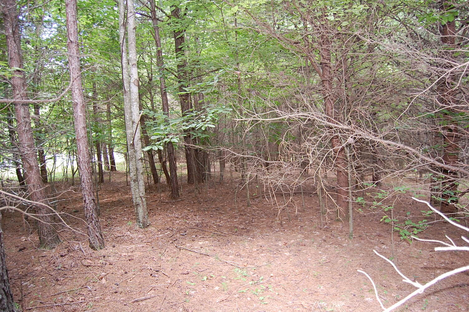 36 Stone Creek Trail Dunlap, TN 37327 - Photo 6 of 23 DSC_0006