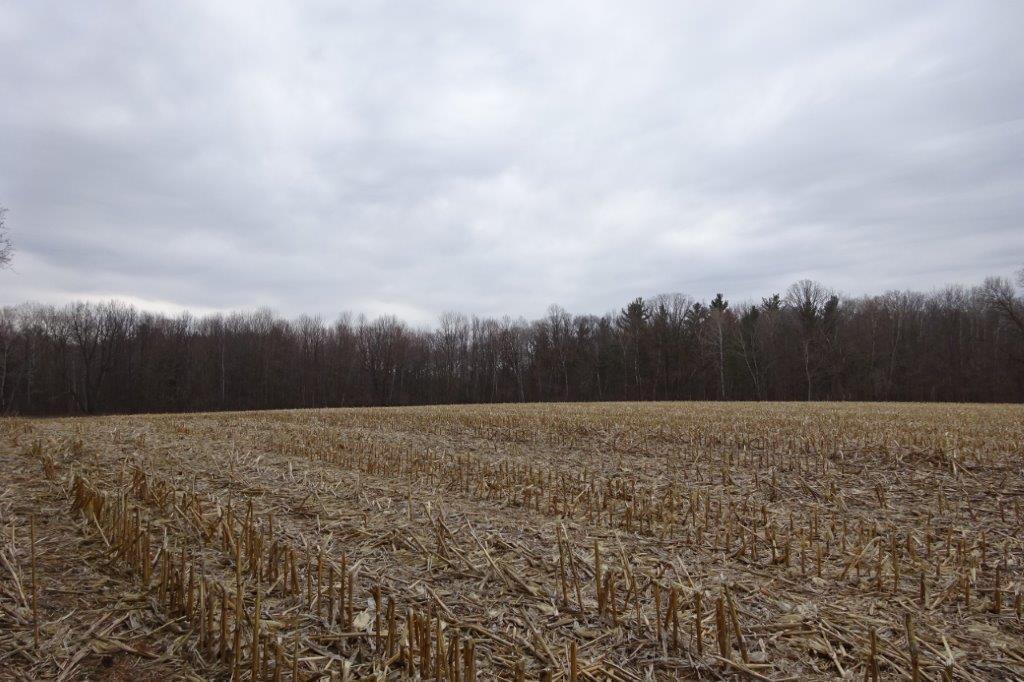 338 40th Street Clear Lake, WI 54005 - Photo 22 of 38