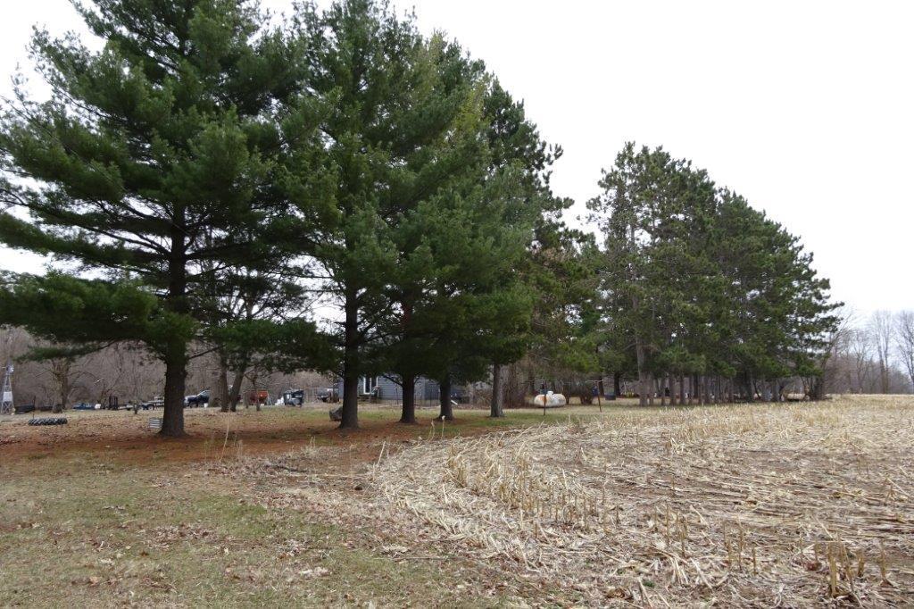 338 40th Street Clear Lake, WI 54005 - Photo 24 of 38