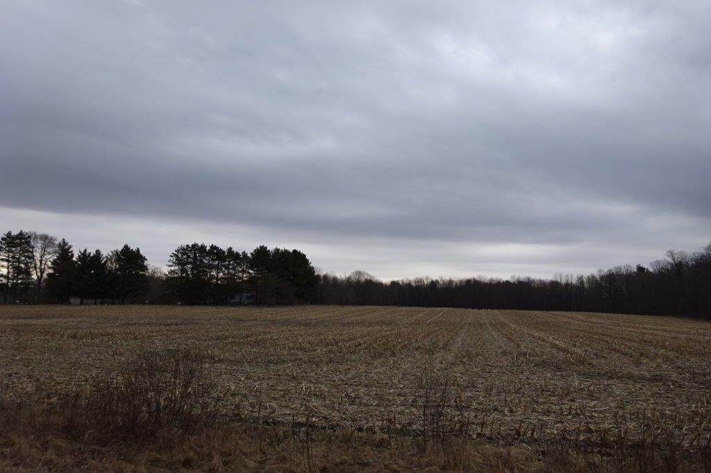 338 40th Street Clear Lake, WI 54005 - Photo 31 of 38