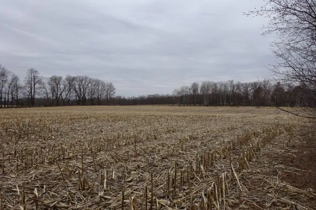 $425,000 | 338 40th Street, Clear Lake, WI 54005