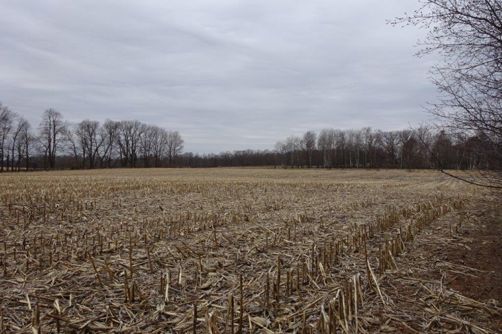 338 40th Street Clear Lake, WI 54005 - Photo 37 of 38