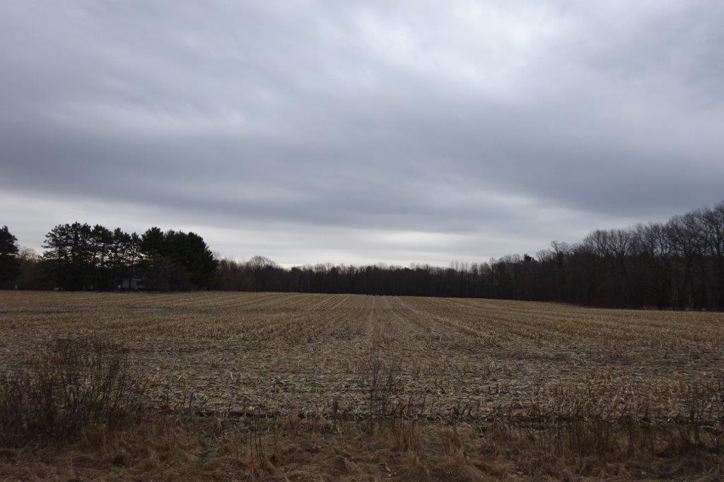 338 40th Street Clear Lake, WI 54005 - Photo 38 of 38