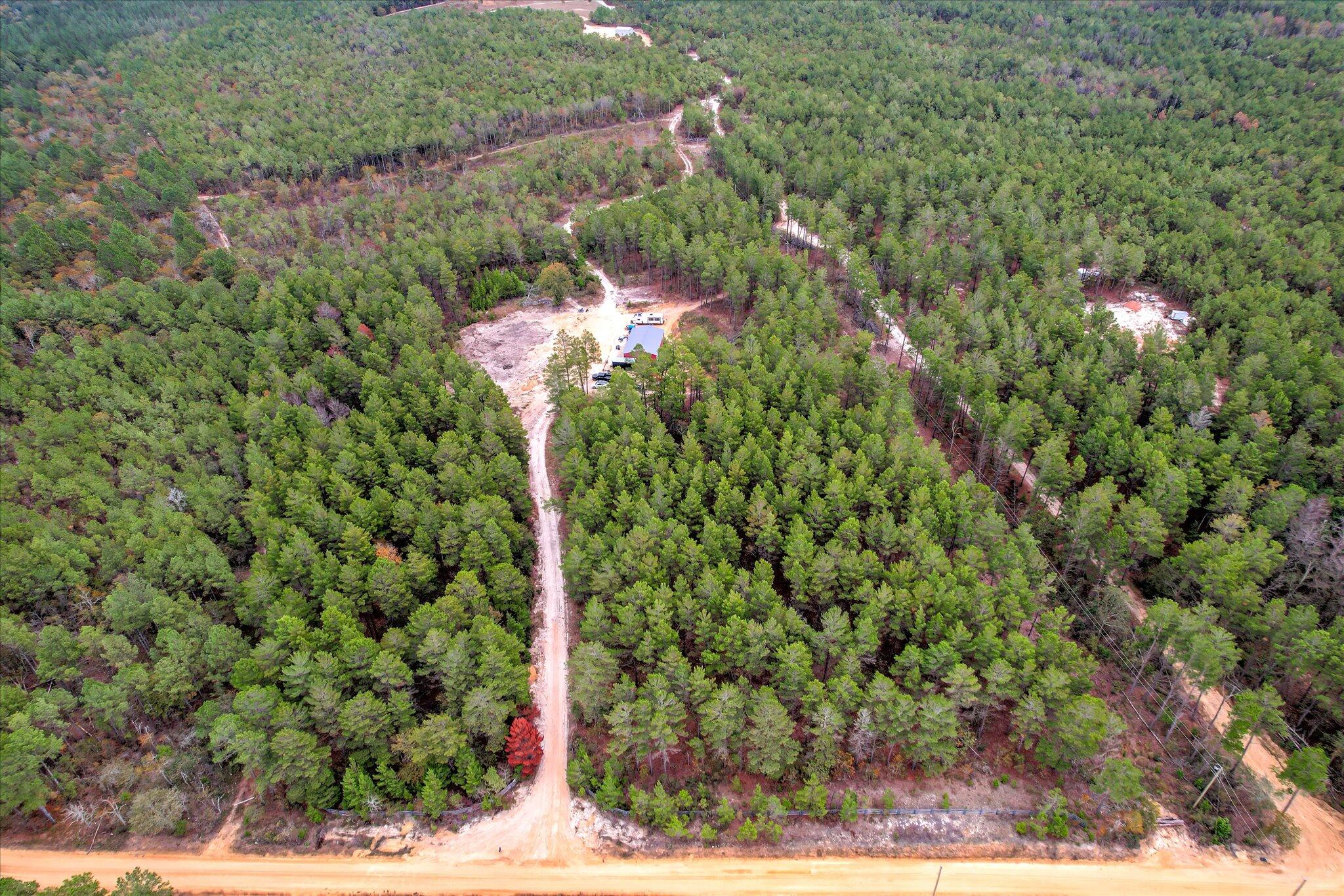 27 Apple Jack Road Batesburg, SC 29006 - Photo 5 of 13
