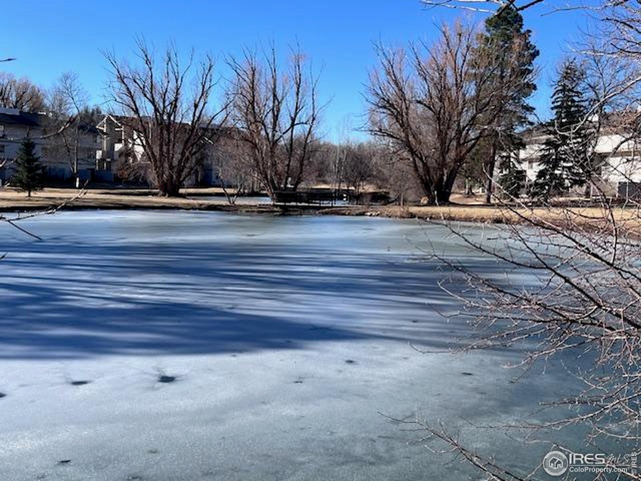 1705 Heatheridge Road, Unit 105 Fort Collins, CO 80526 - Photo 17 of 23