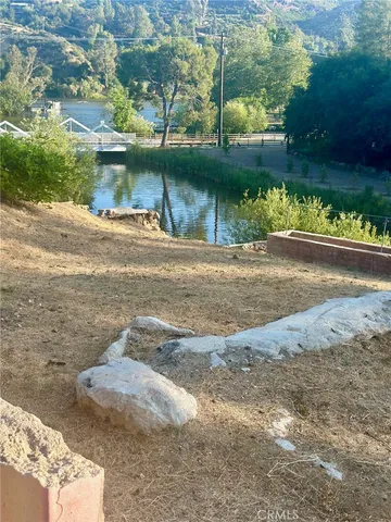 a view of a yard with plants and trees