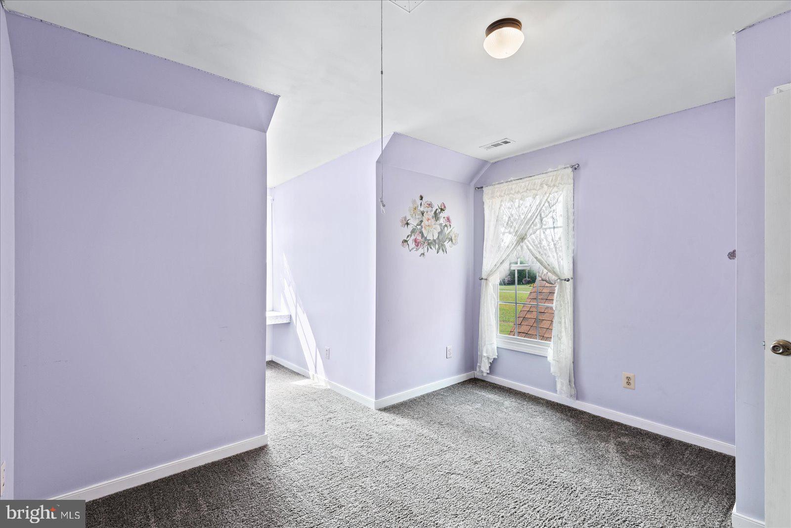22149 Carters Gate Road Ruther Glen, VA 22546 - Photo 20 of 35 Bonus room 1 with closet