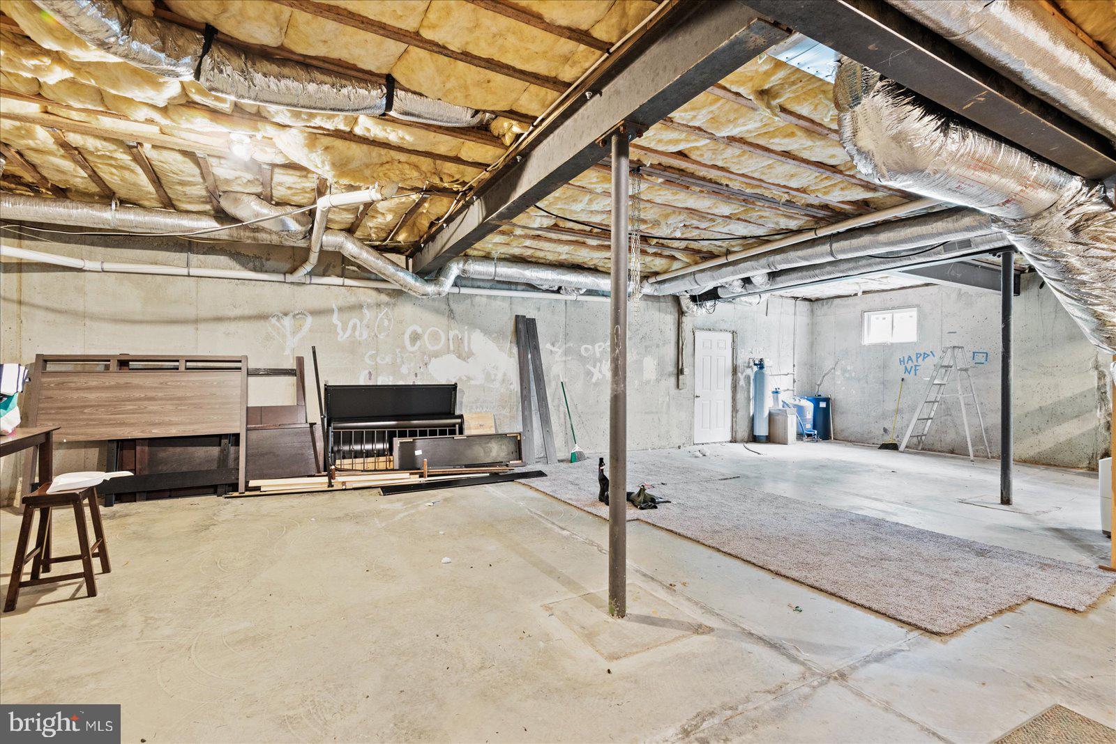 22149 Carters Gate Road Ruther Glen, VA 22546 - Photo 24 of 35 Unfinished basement with walk out stairs