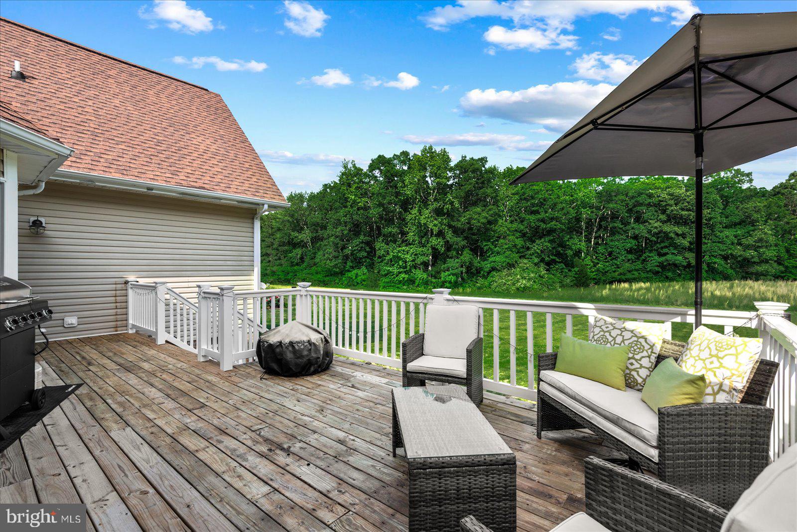22149 Carters Gate Road Ruther Glen, VA 22546 - Photo 25 of 35 Back Deck