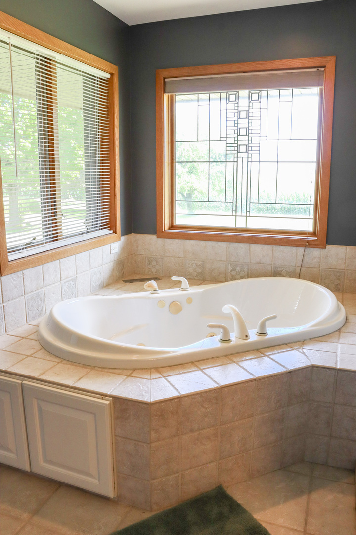 16181 Sand Road Fulton, IL 61252 - Photo 26 of 57 a bathroom with bathtub and window
