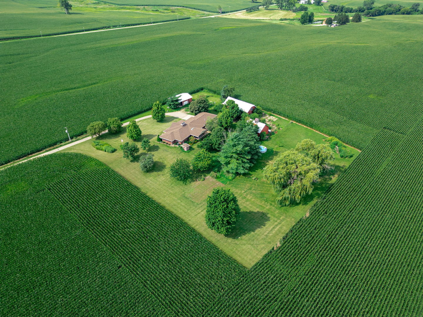 16181 Sand Road Fulton, IL 61252 - Photo 53 of 57 a bunch of green field with lots of green space