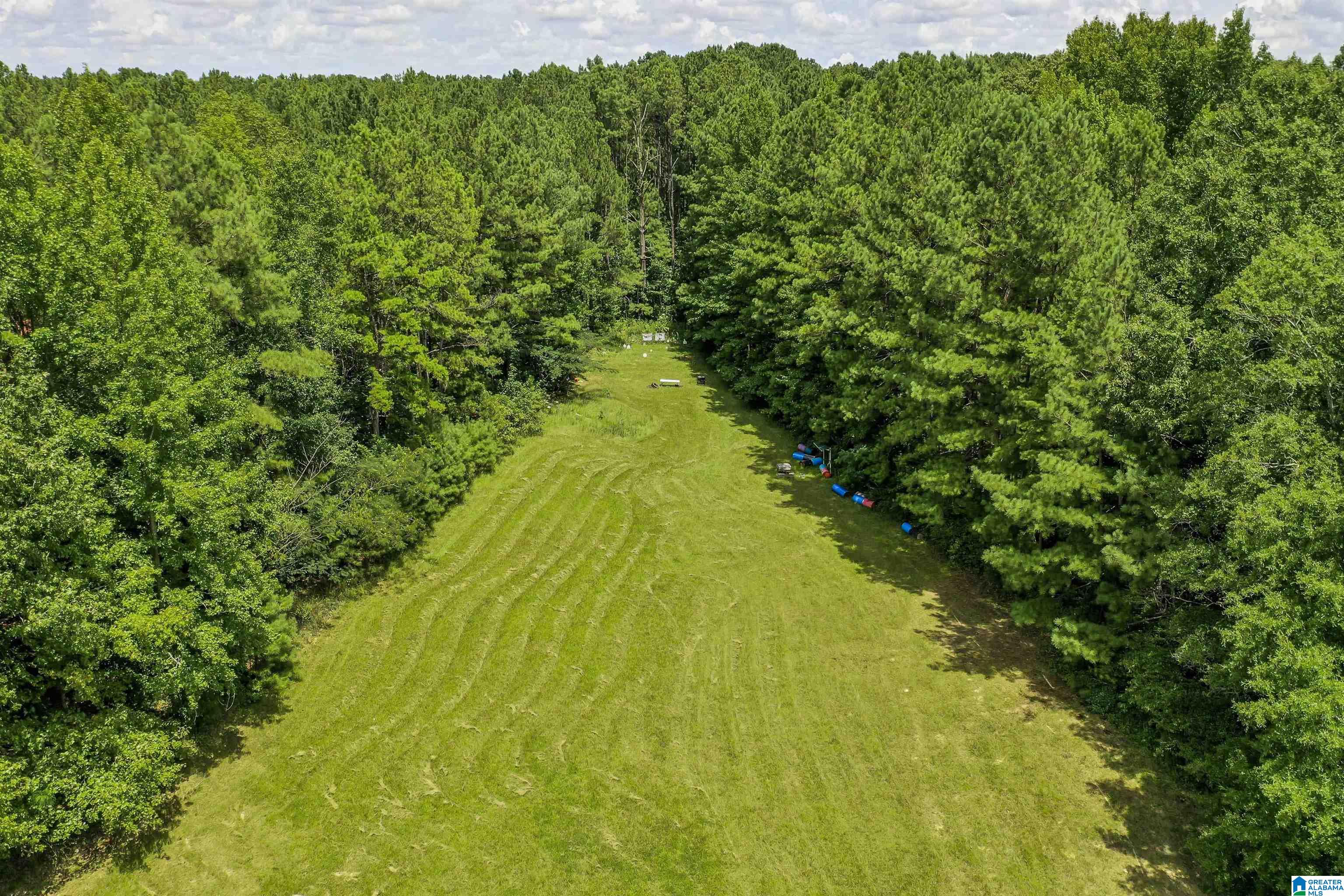 130 Glenn Road Wilsonville, AL 35186 - Photo 48 of 50