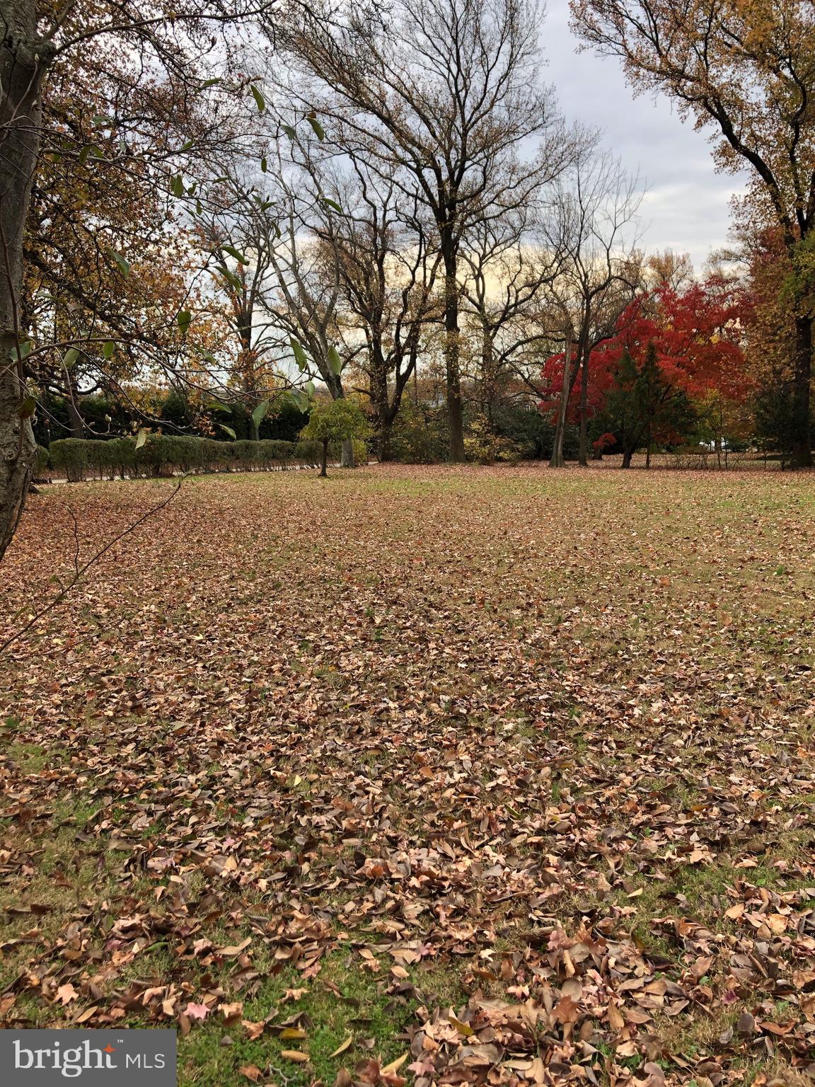 1710 Woodland Road Abington, PA 19001 - Photo 1 of 18