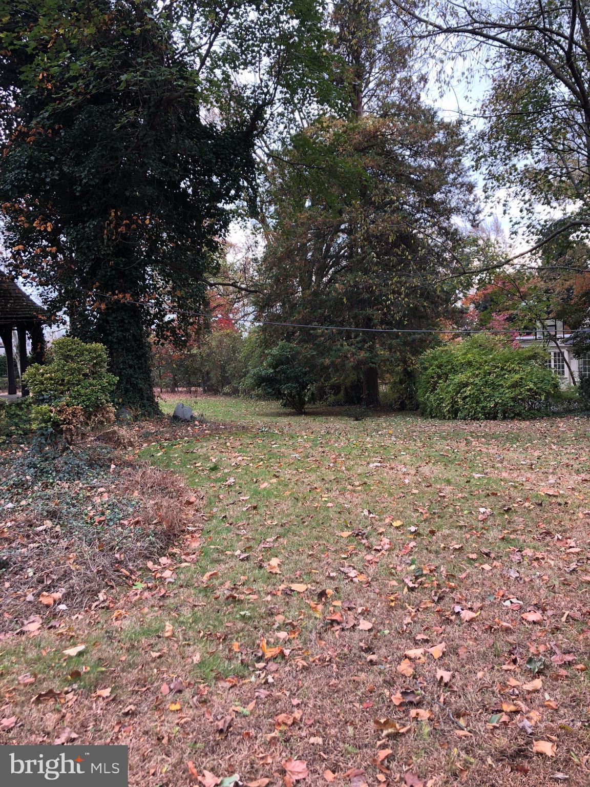 1710 Woodland Road Abington, PA 19001 - Photo 14 of 18