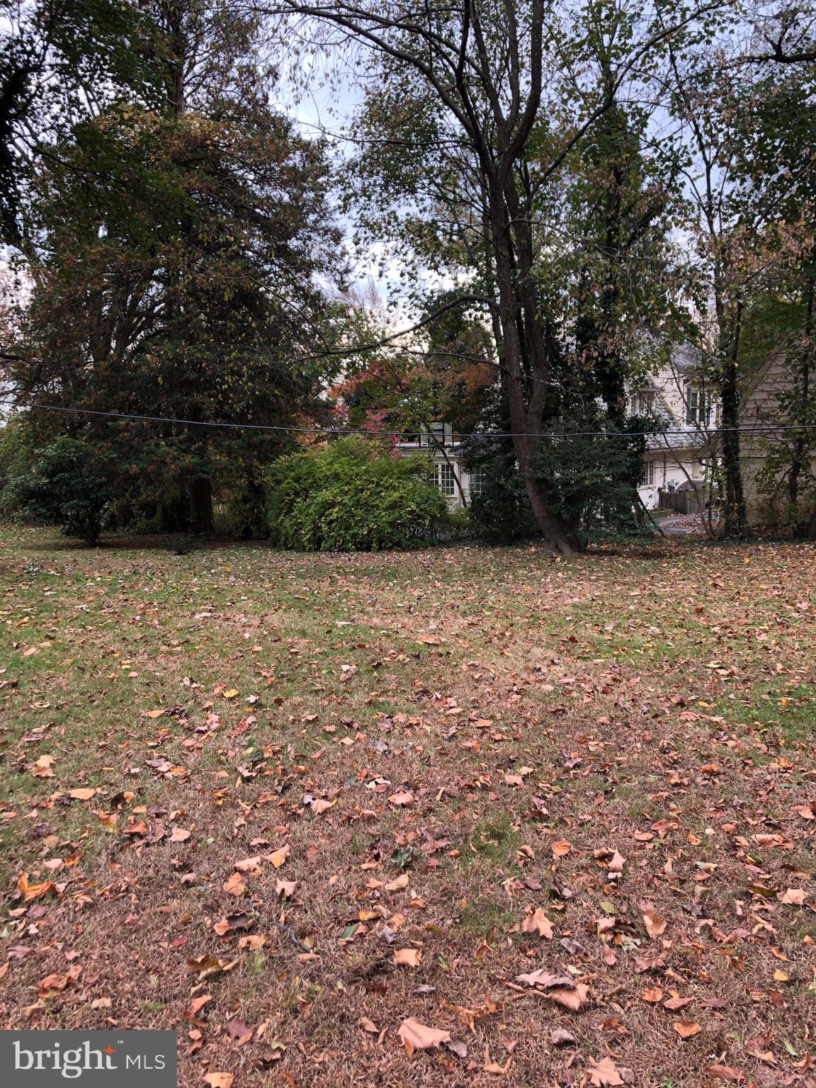 1710 Woodland Road Abington, PA 19001 - Photo 15 of 18