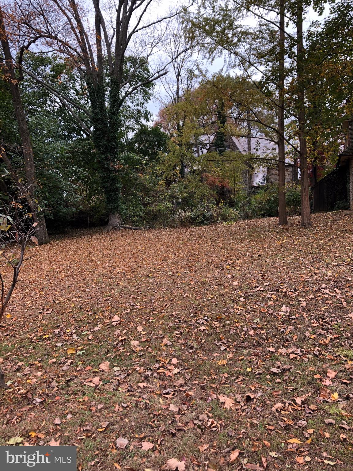 1710 Woodland Road Abington, PA 19001 - Photo 18 of 18