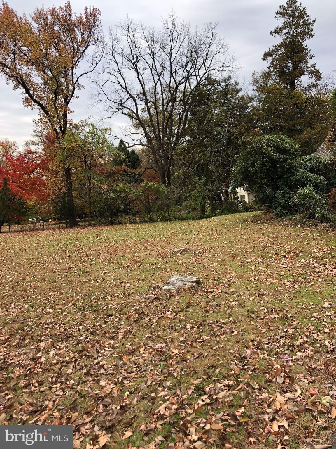 1710 Woodland Road Abington, PA 19001 - Photo 5 of 18