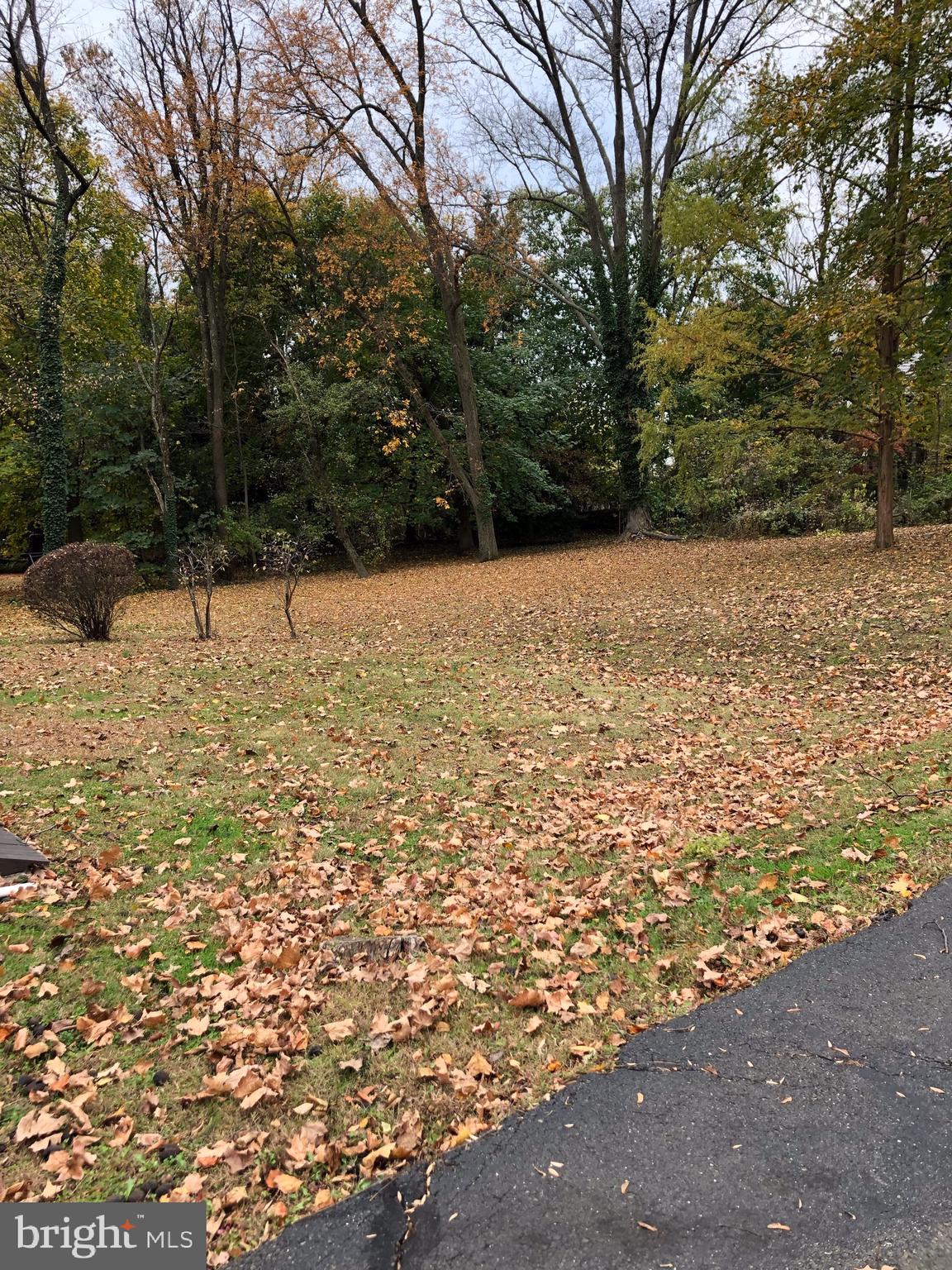 1710 Woodland Road Abington, PA 19001 - Photo 8 of 18