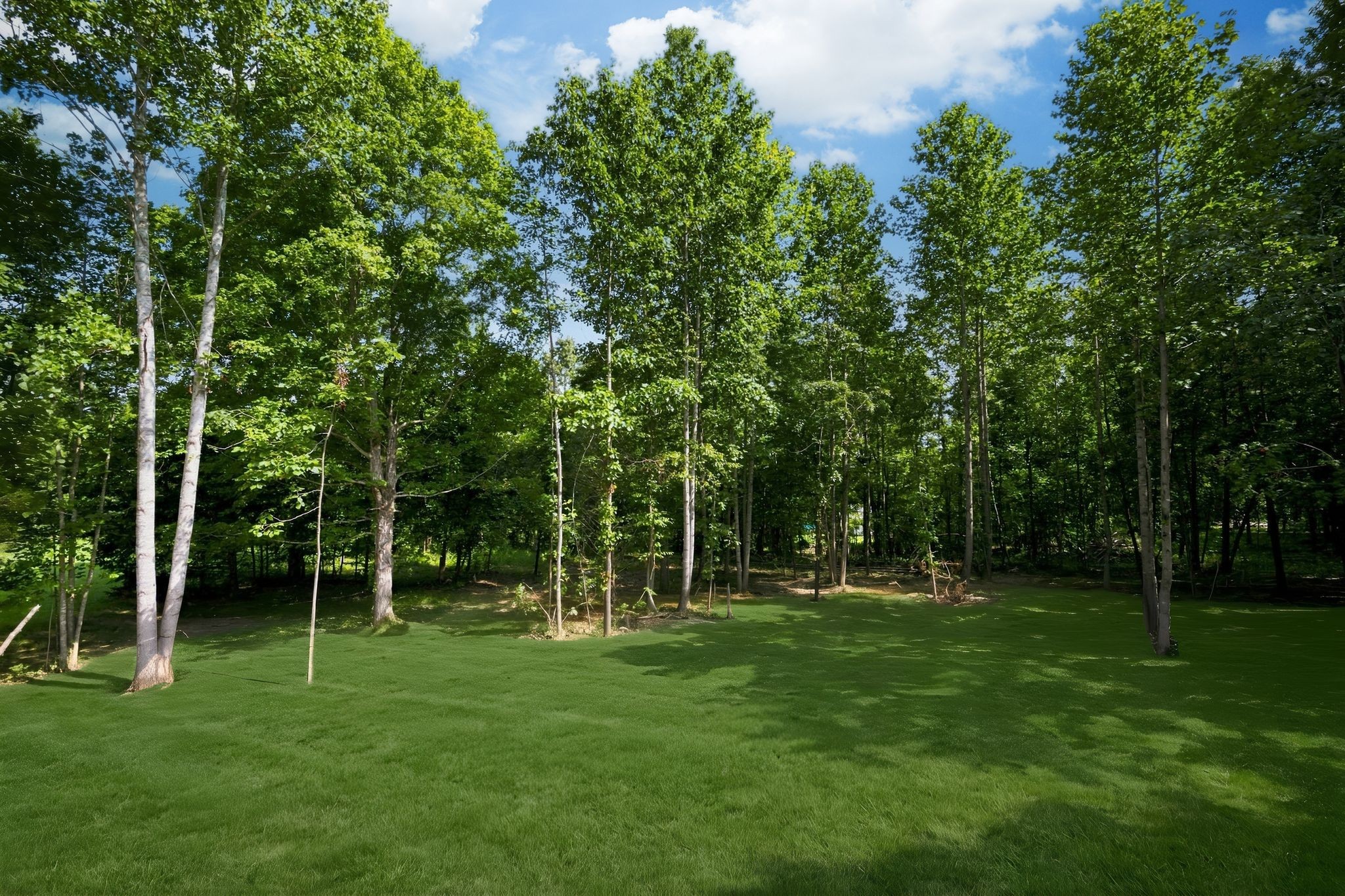 1063 Promise Land Road Charlotte, TN 37036 - Photo 4 of 32 Gallery Image 4