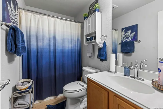 a bathroom with a sink a toilet and shower curtain