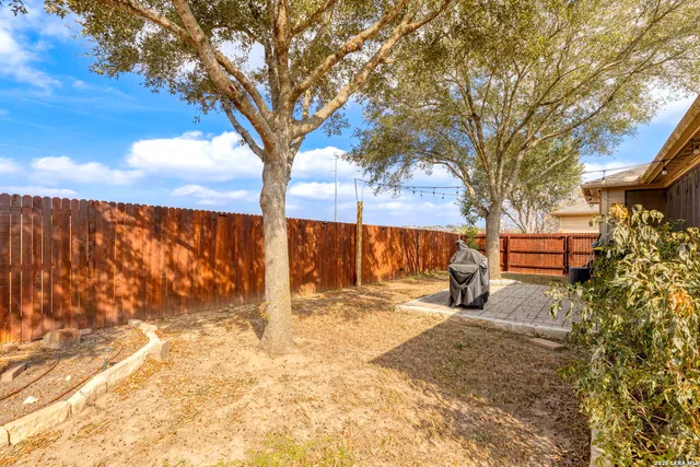 a backyard of a house with a tree