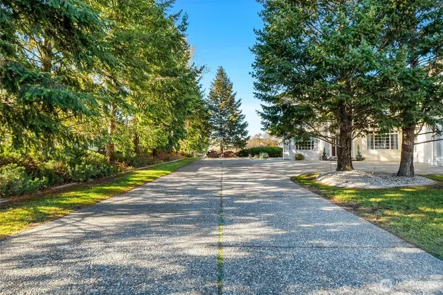 a view of a yard with swimming pool