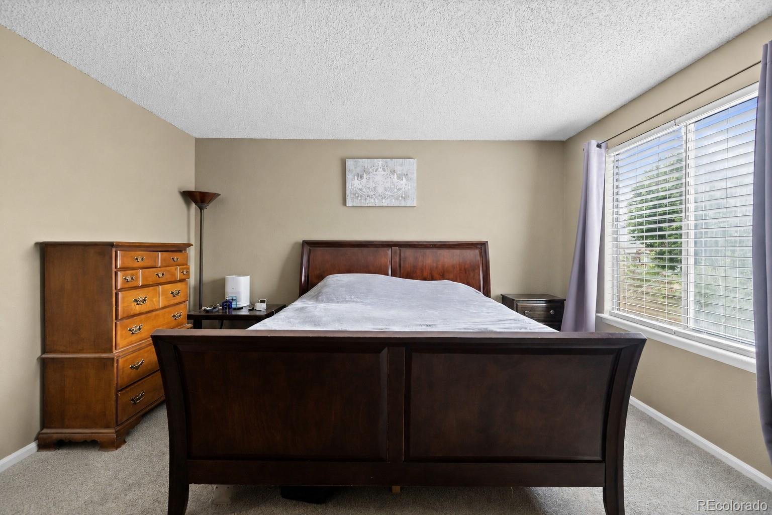 10565 Hyacinth Place Highlands Ranch, CO 80129 - Photo 18 of 33