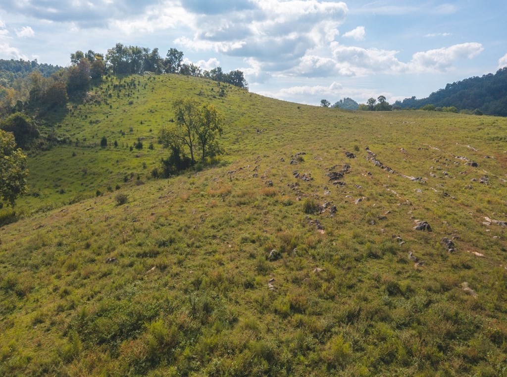 215 Ed Hollow Road Eidson, TN 37731 - Photo 40 of 60 Gallery Image 40