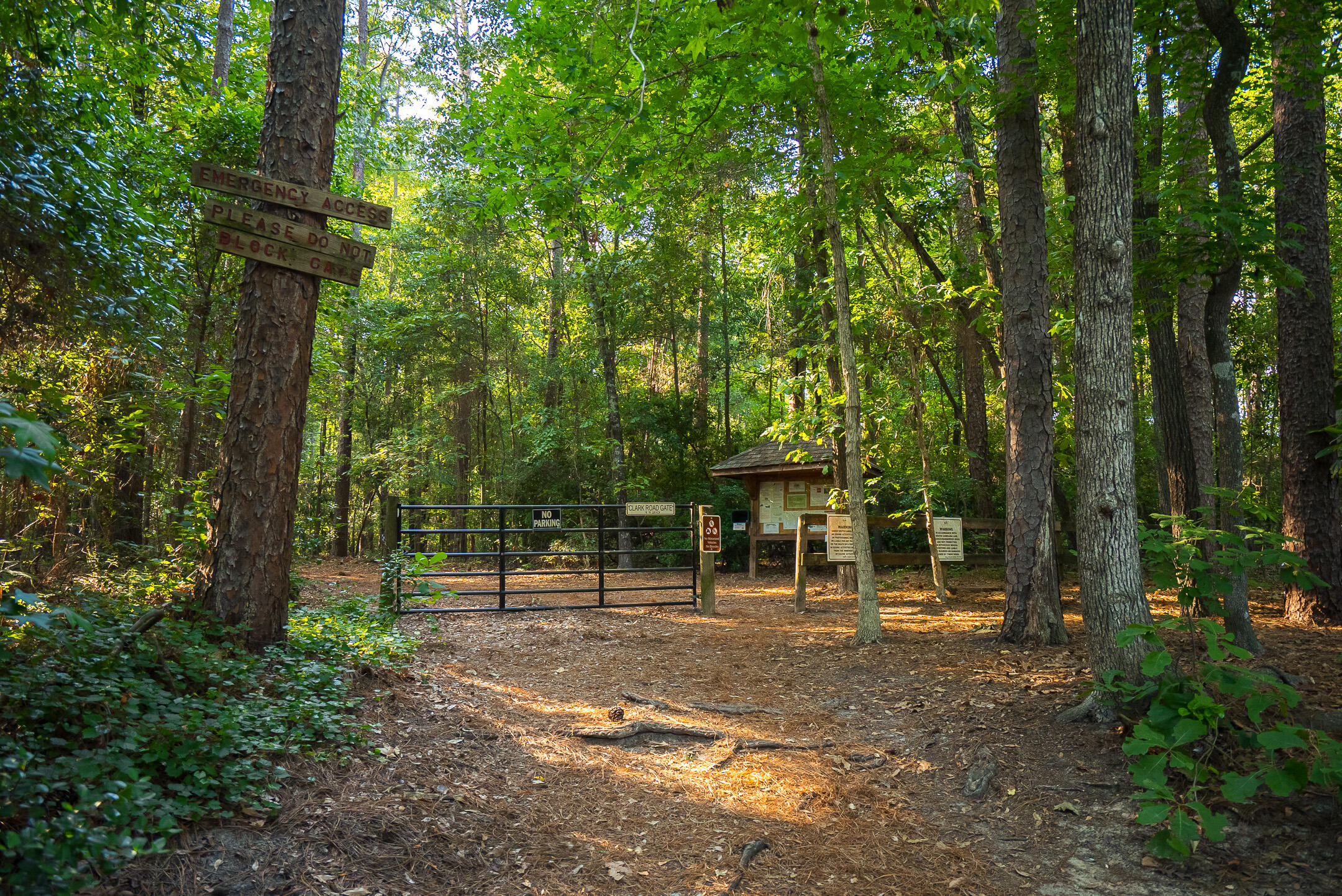 1039 Clark Road Southwest Aiken, SC 29803 - Photo 6 of 80