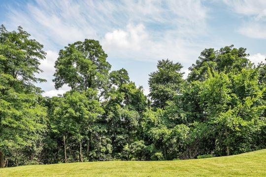 229 Field Club Circle McKees Rocks, PA 15136 - Photo 33 of 34 a view of a yard with plants and wooden fence