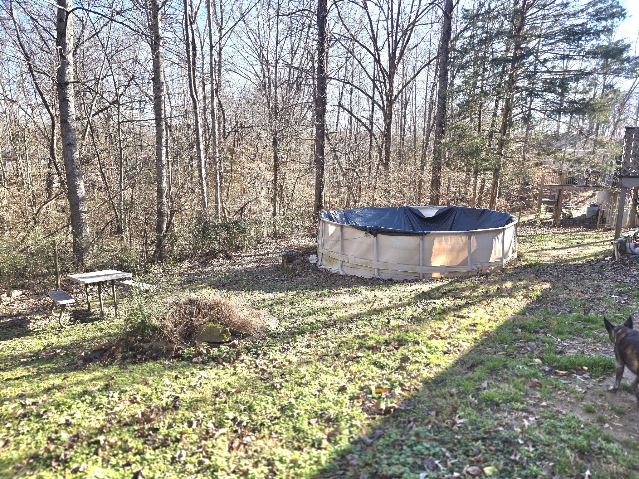 607 South Evening Shade White Bluff, TN 37187 - Photo 6 of 36