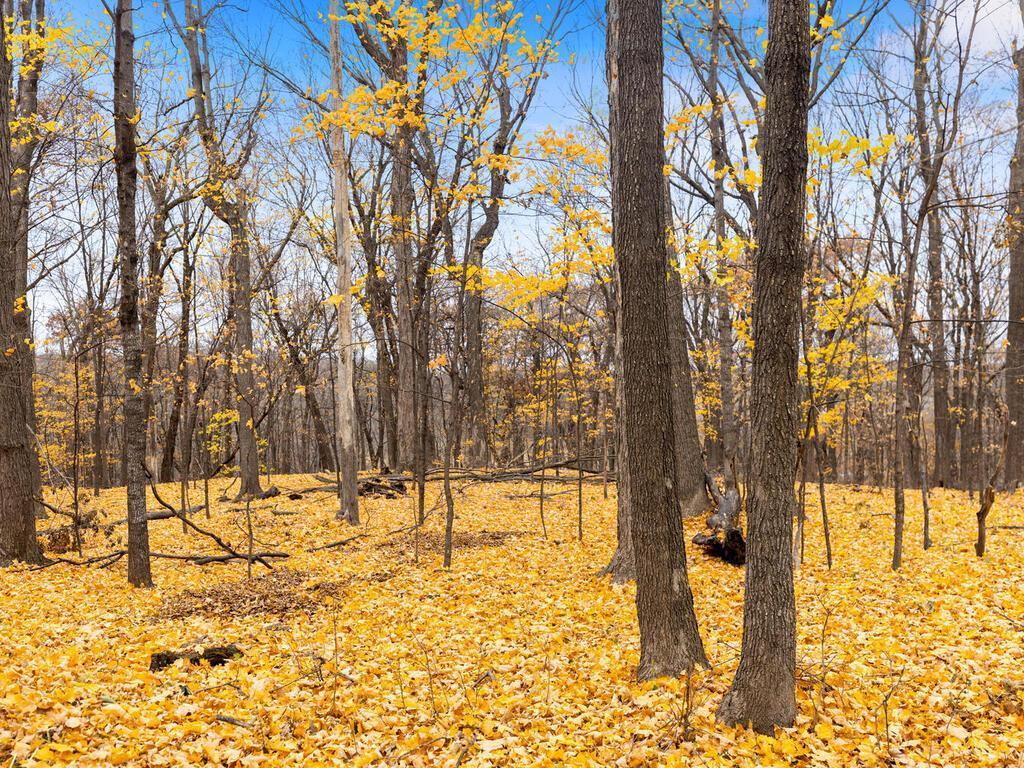 7945 Ranchview Lane North Maple Grove, MN 55311 - Photo 48 of 52