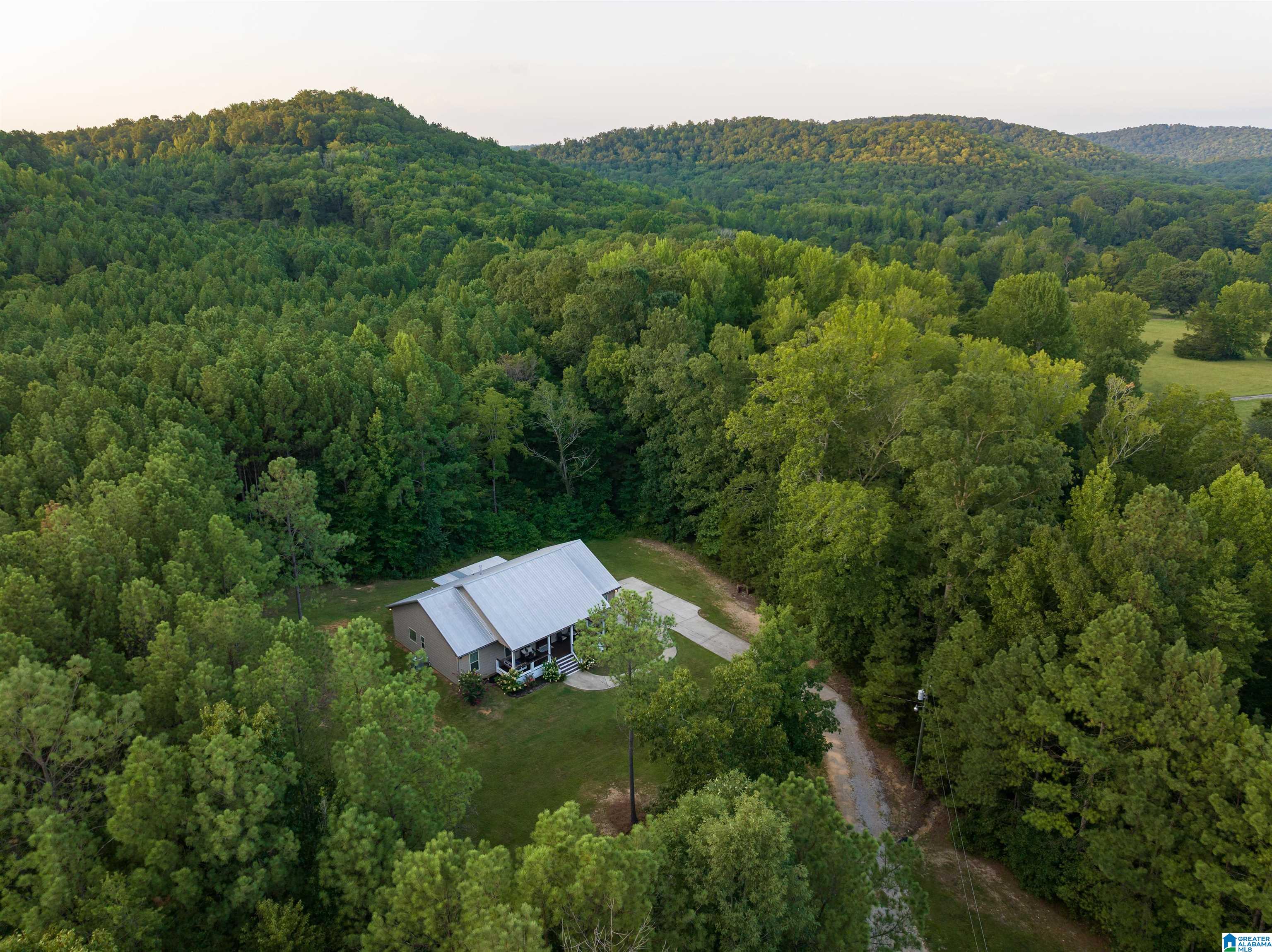 7844 Lowe Drive Springville, AL 35146 - Photo 29 of 39