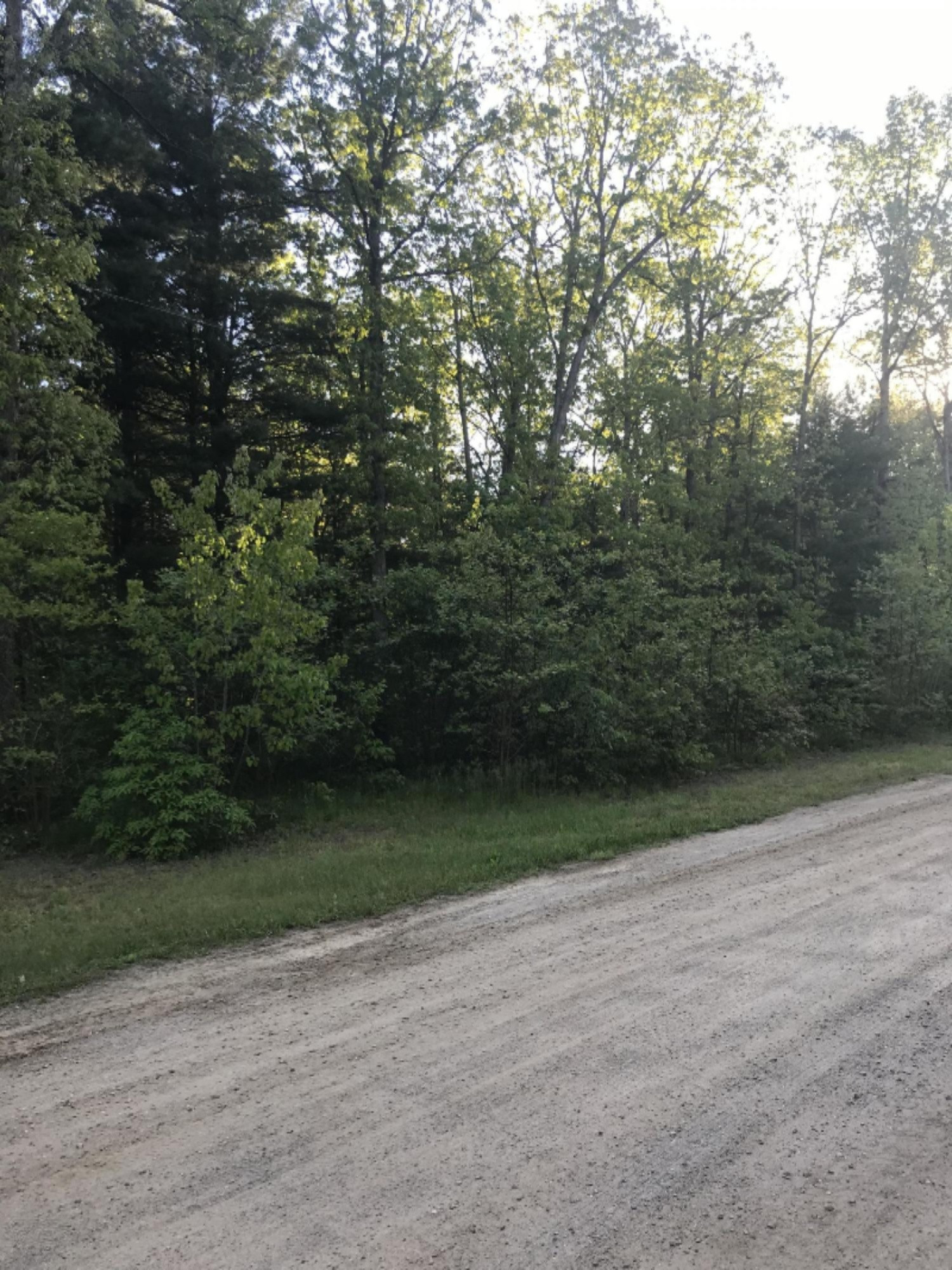 Lot 20 Moore Road Allegan, MI 49010 - Photo 1 of 1 IMG_6042