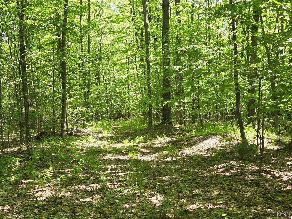 446 Nys Route Cuba, NY 14727 - Photo 14 of 47