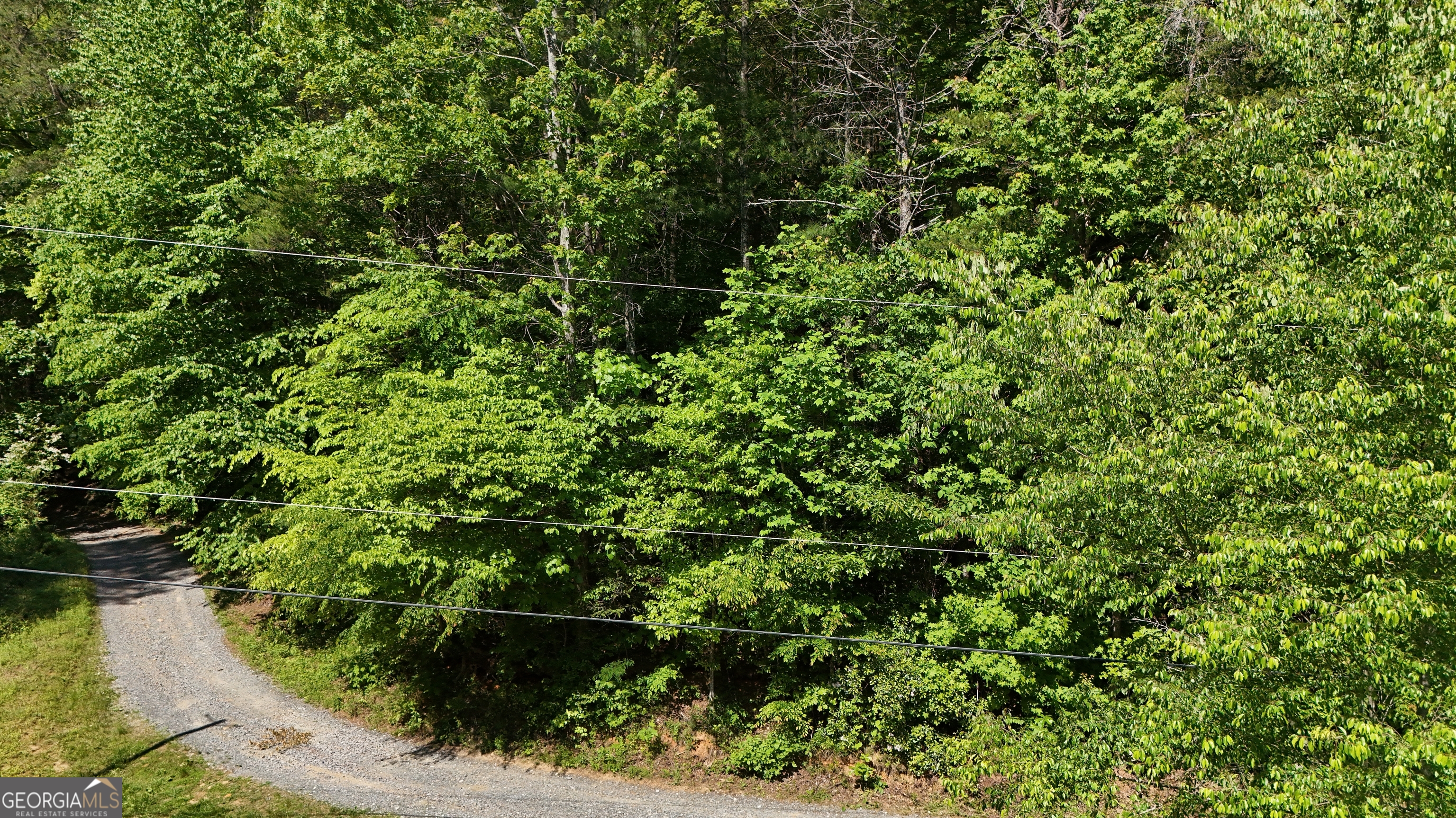 0 Gold Springs Road Ellijay, GA 30540 - Photo 12 of 13