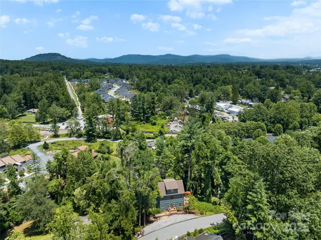 a view of a city with lush green forest