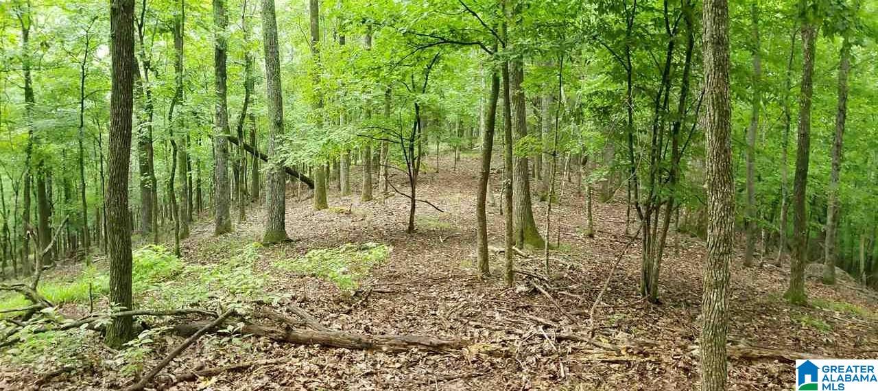 0 Signal Trail, Unit 7 Pelham, AL 35124 - Photo 1 of 4