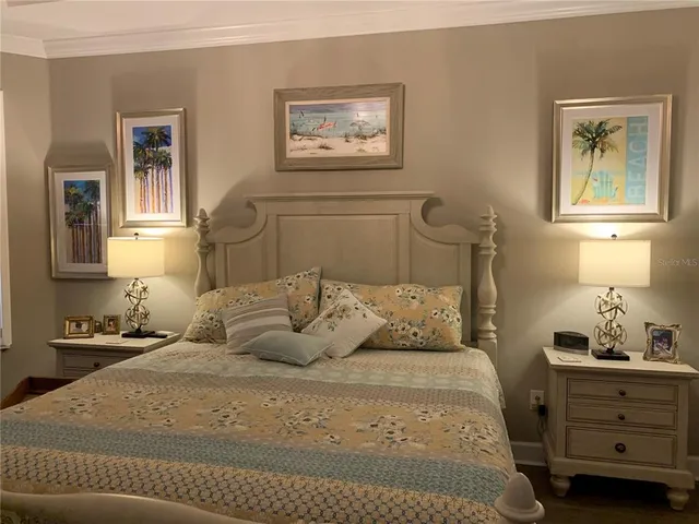 a view of a yard with plants and trees